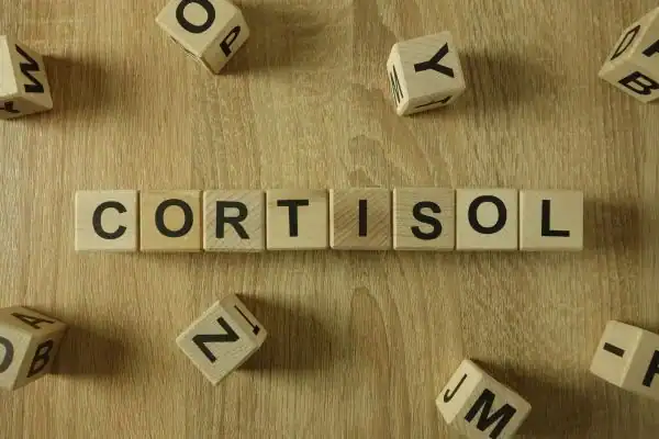The Hidden Connection: How Stress Shapes Your Fitness and Body Composition 2 Image saying "Cortisol" and how stress Lutterworth impacts your wellbeing and bodies shape